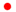 日本語